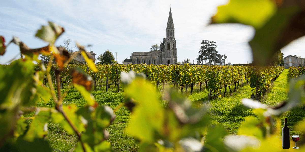 Wijngaarden in Fronsac op de rechteroever van Bordeaux