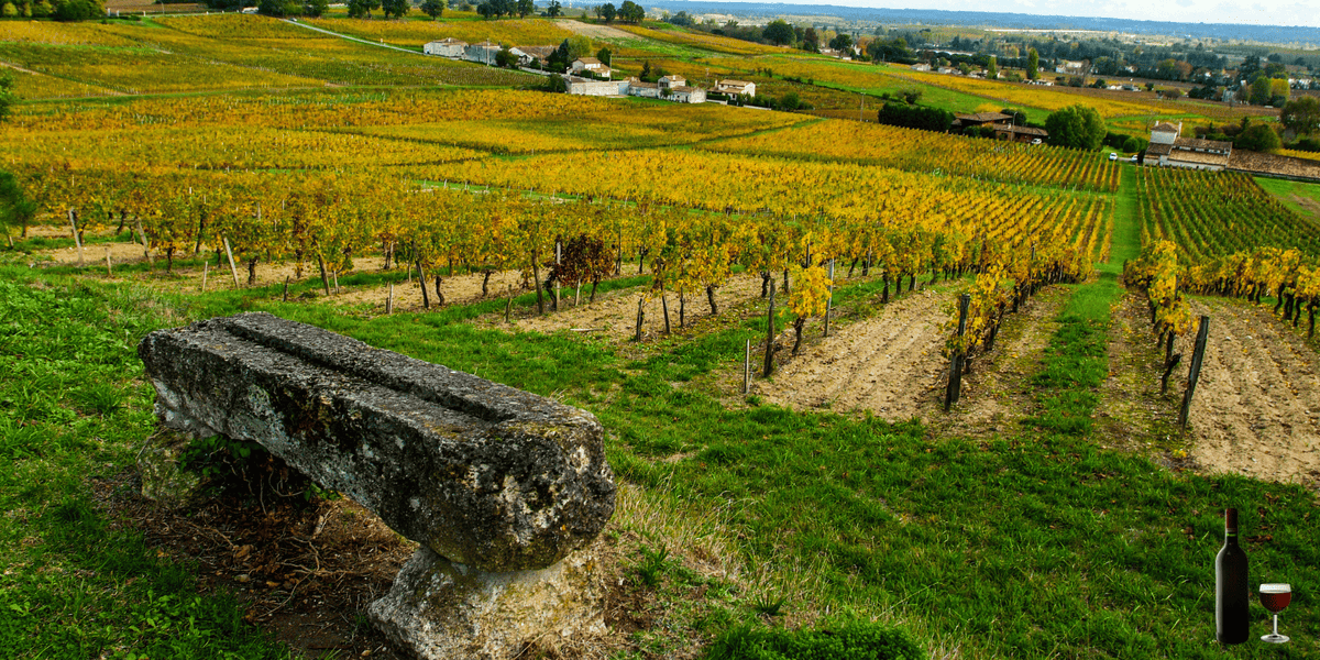 Wijngaarden in Lalande-de-Pomerol op de rechteroever van Bordeaux