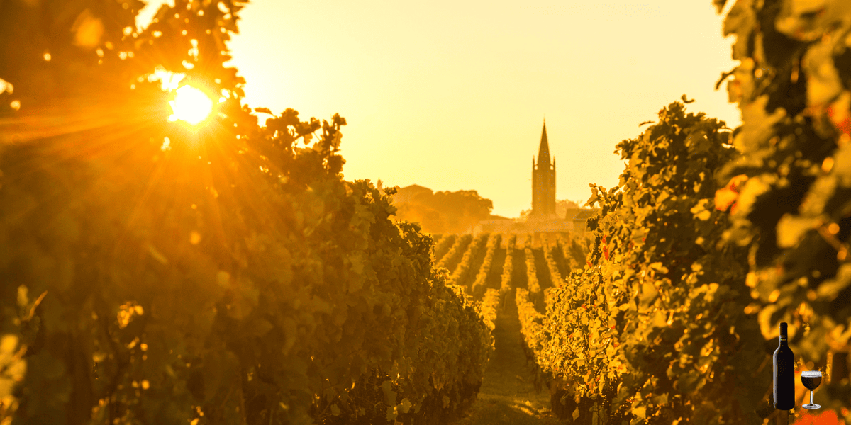 Pessac-Leognan wijngaard in Bordeaux
