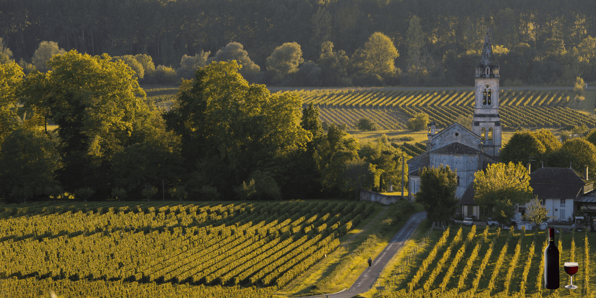 Sauternes wijngaarden